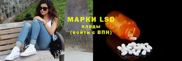 хмурый Липки