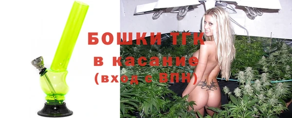 хмурый Липки