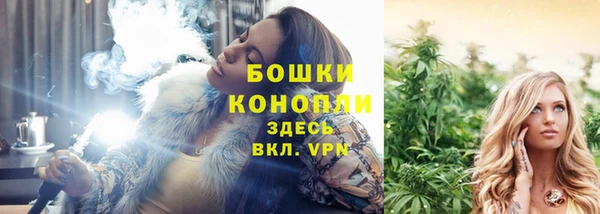крисы Ступино