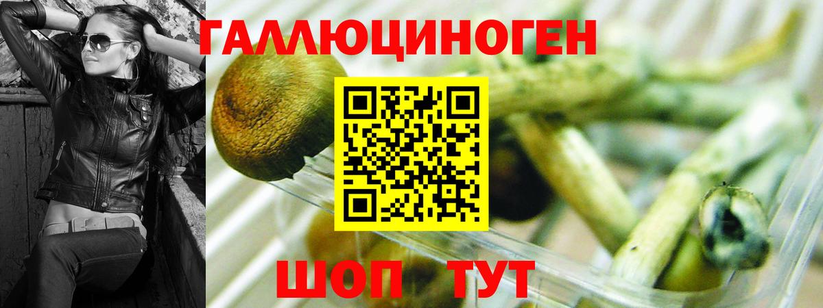 Новосибирск  Псилоцибиновые грибы мухоморы  Вход с VPN 