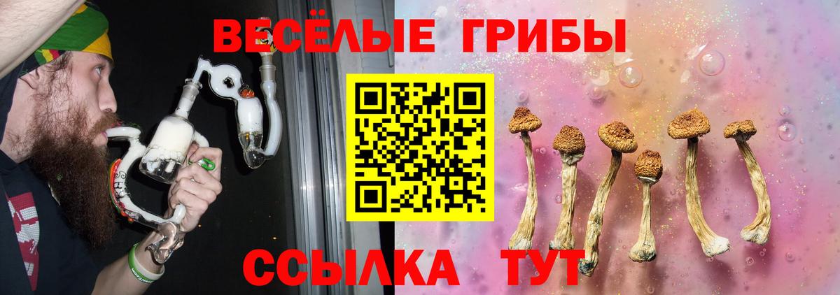 Галлюциногенные грибы Psilocybine cubensis Новосибирск