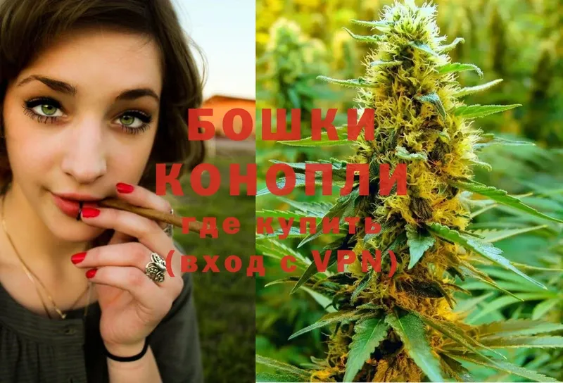 Бошки Шишки OG Kush  где купить   Новосибирск 