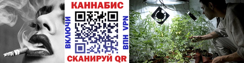 Конопля гибрид  Новосибирск 